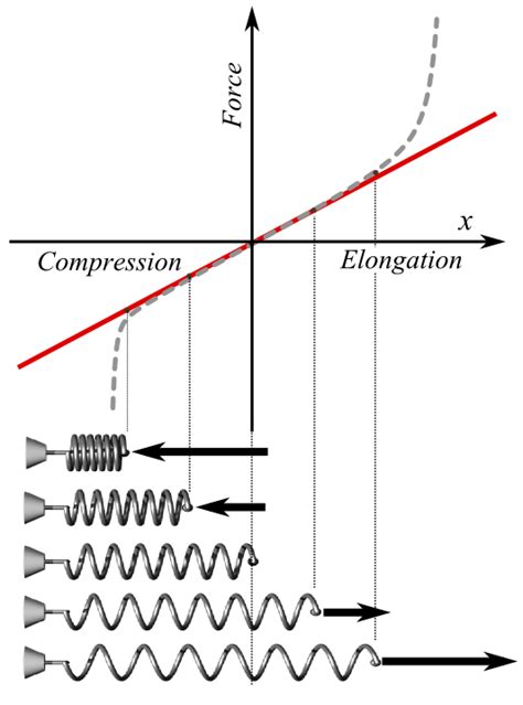 Hookes Law Boundless Physics