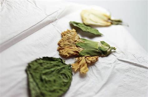 Three Dried Flowers Sit On Top Of A White Cloth Covered Tablecloth With