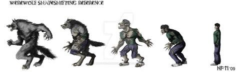 Transformation Reference By Hatithedarkwolf On Deviantart Human Drawing Werewolf Transformations