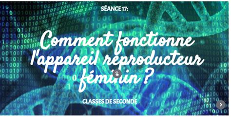 S Ance Comment Fonctionne L Appareil Reproducteur F Minin