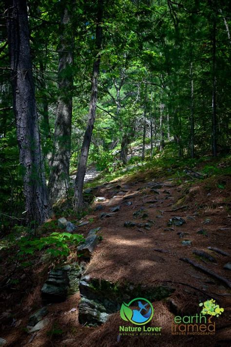 Chutes Provincial Park Twin Bridges Trail