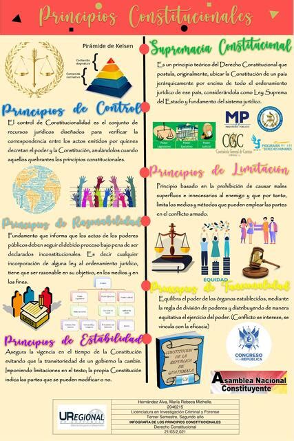 Infografía Principios Constitucionales Michelle Hernández Udocz