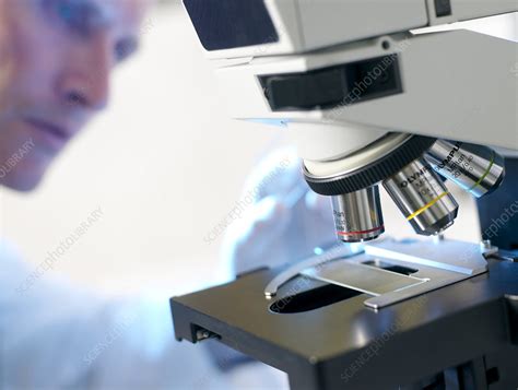 Plug in the microscope and turn it on. Microscope use - Stock Image - G350/0738 - Science Photo ...
