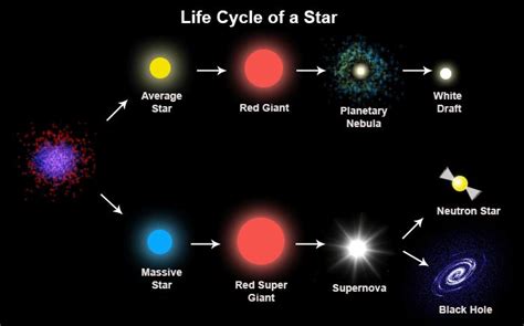 The Life Cycle Of A Star