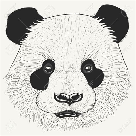 Panda Face Sketch At Explore Collection Of Panda