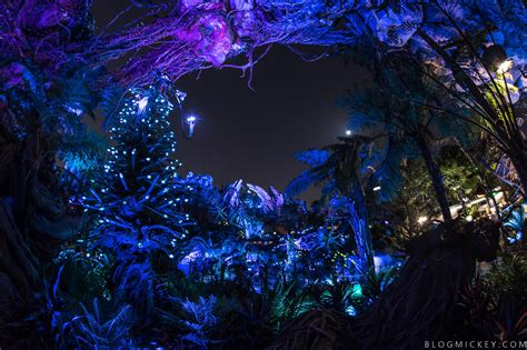 Photos Video Pandora The World Of Avatar Comes Alive At Night