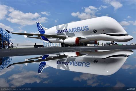 Airbus Beluga Xl Lenvol De La Baleine