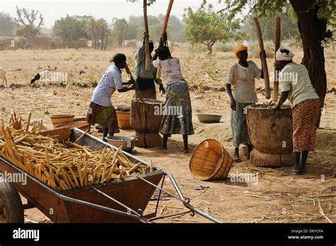 Burkina Faso Kaya Village Korsimoro Women Pound Millet The Sahel