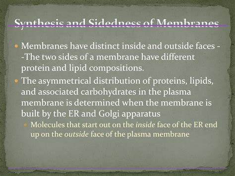 Ppt Chapter 7 Membrane Structure And Function Powerpoint Presentation