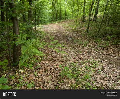 Old Dirt Road Through Image And Photo Free Trial Bigstock