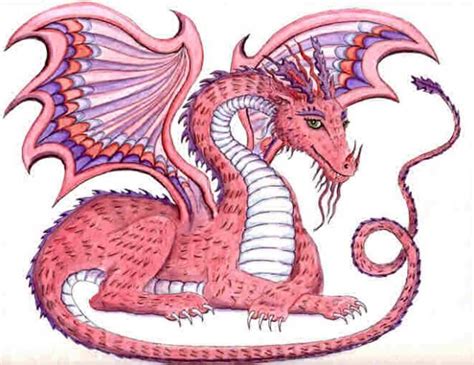 Dragon Pink Pretty In Pink The Dragons Of Heidi Buck Dragon