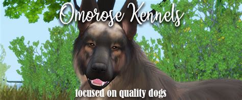 Omorose Kennels Sims International Kennel Club