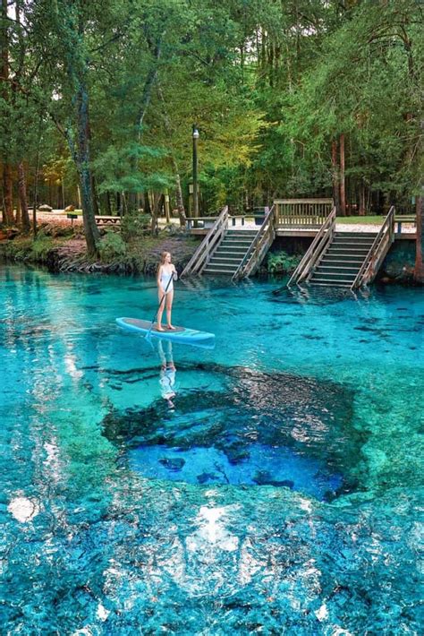 17 Best Natural Springs In Florida You Must Visit Florida Trippers