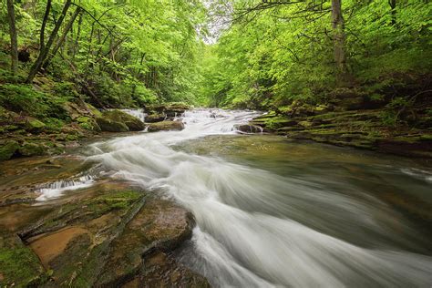West Virginia Mountain Stream Mill Creek Photograph By Bill Swindaman