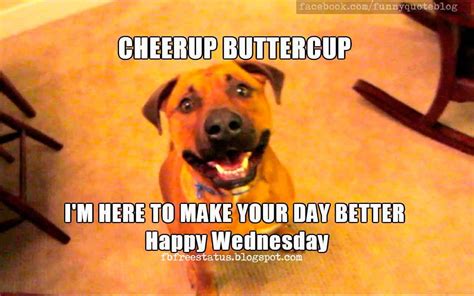 It's Wednesday, Funny & Happy Wednesday Meme with Wednesday Quotes | Happy wednesday quotes 