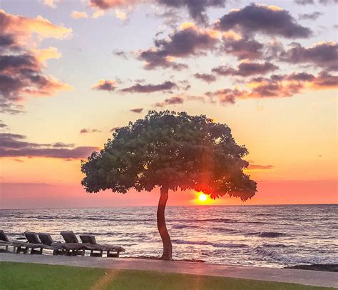 10 Incredible Places To Visit On Hawaiis Big Island Hawaii Island