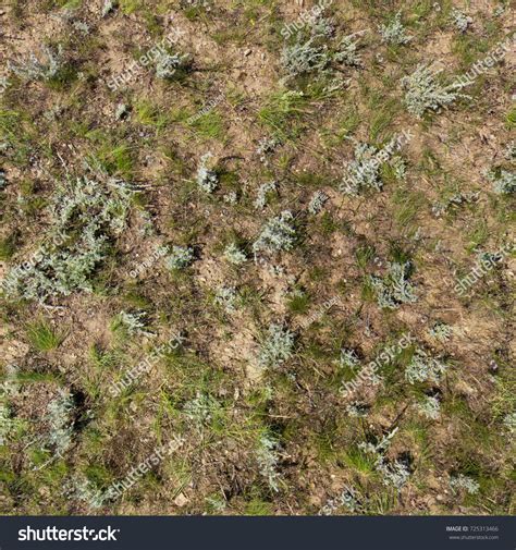 Rocky Soil Grass Seamless Texture Stock Photo 725313466 Shutterstock