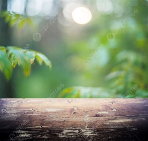 Blur Summer Forest Bokeh Wood Plate Background Blur Summer Forest Bokeh