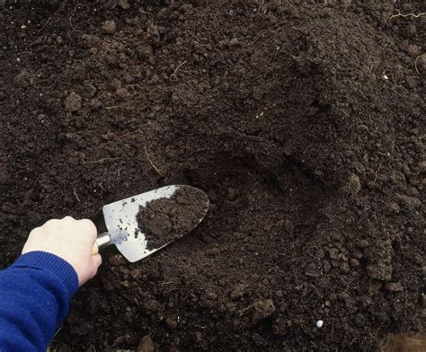 Amending Your Garden Soil To Make It Better