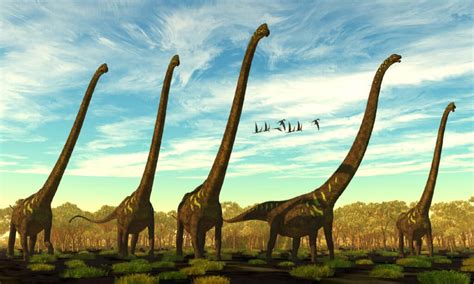 9 Dinosaurs With Long Necks Imp World