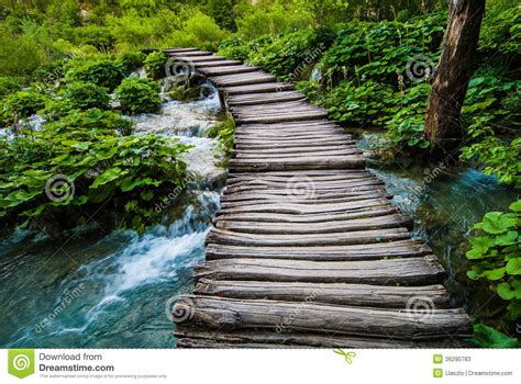 Old Wooden Bridge Over River Stock Image Image Of Greenery