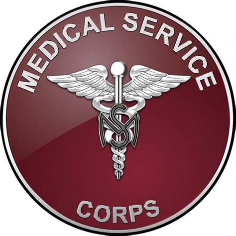 Us Army Medical Service Corps All Metal Sign 14 North Bay Listings
