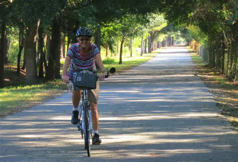 23 Best Florida Bike Trails Our Favorites For Scenic Bicycling