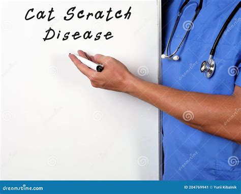 Medical Concept About Cat Scratch Disease With Inscription On The Page