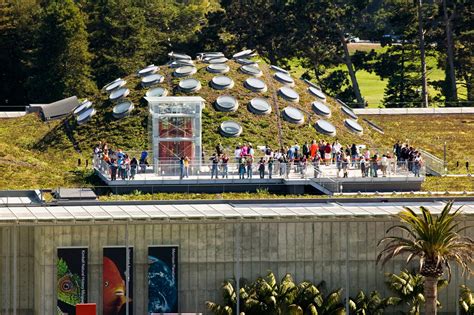 California Academy Of Sciences Cas Living Roof