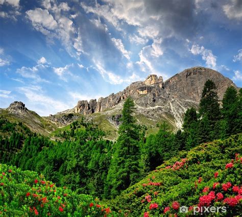 Poster Dolomite Peaks Rosengartenval Di Fassa Italy Alps Pixersnetau