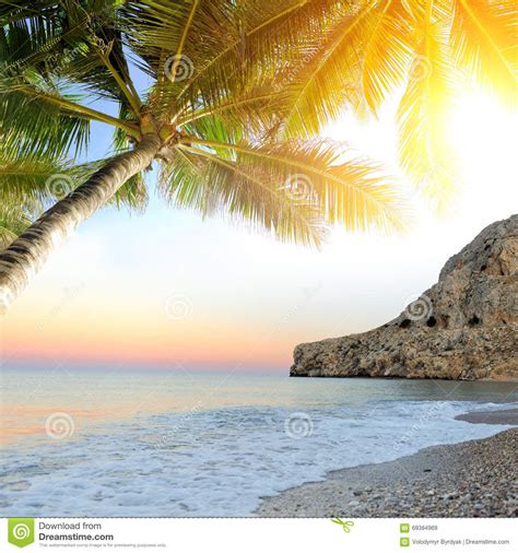 Tropical Beach With Palm Tree Stock Image Image Of Nature Ocean