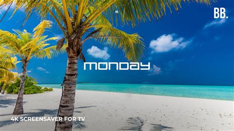 4K Monday Tropic Waves Screensaver With Nature Sounds 4K Live