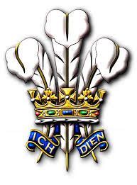 The daffodil is a relatively new addendum in 1911 david lloyd george, a firm supporter of the daffodil over the leek, ensured that the flower was used in the investiture of the prince of wales. 1000+ images about Prince of Wales on Pinterest | Prince ...