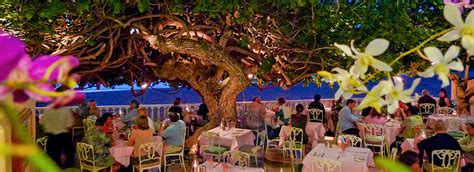 Top 5 Waikiki Beach Restaurants Hawaii Aloha Travel