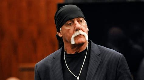 Hulk Hogan Trial Gawker Lawyer Cross Examines Media Professor Cbc News