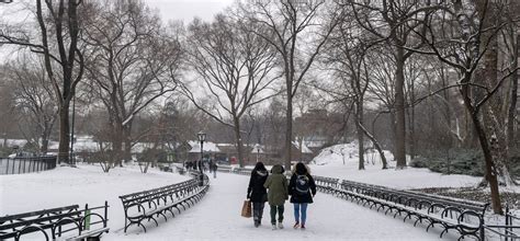 Ways To Enjoy Winter In Central Park Central Park Conservancy