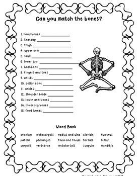 Printable human body systems worksheets. Match Those Bones Worksheet | Skeletal system activities ...