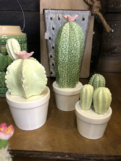 In nature, they also grow in crevices where they receive protection from the sun, or on hilltops where they are shaded by rocks or boulders. We love cactus. Petite ceramic cactus in light colors ...