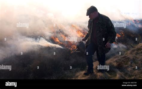 Gamekeeper Dousing Fire During Controlled Heather Burning On The North