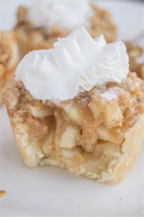 Mini Muffin Tin Apple Pies The Diary Of A Real Housewife