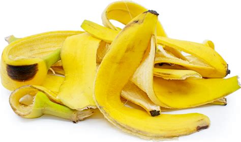 Amazing Benefits Of Banana Peels Orissapost