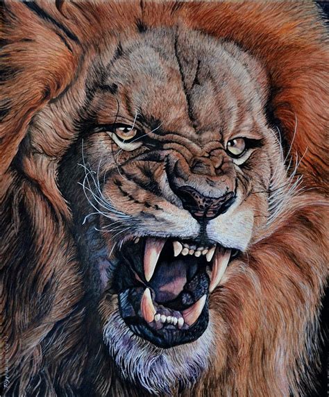 Roaring Lion Painting By Nigel Coe Pixels