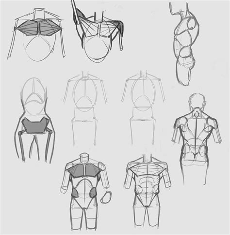 Figure Drawing Tutorial Male Figure Drawing Body Reference Drawing