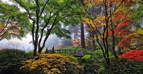 Bridge In A Japanese Garden Portland Imgur