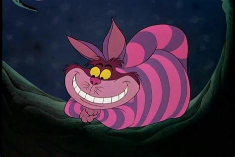 This Cat Is AWESOME Cheshire Cat Art Cheshire Cat Disney Cheshire Cat Alice In Wonderland