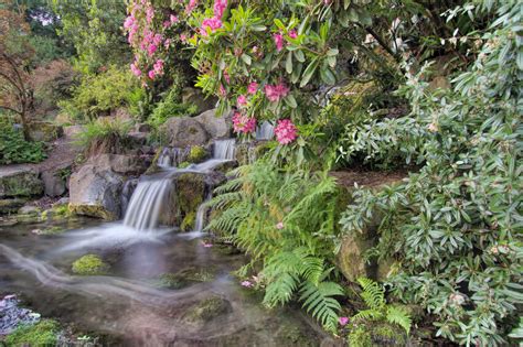 Free for commercial use no attribution required high quality images. A tropical garden waterfall with a dirt pathway alongside ...