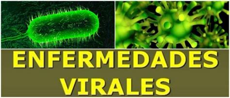 Enfermedades Virales Virus Bacterias Tipos Síntomas Causas Y