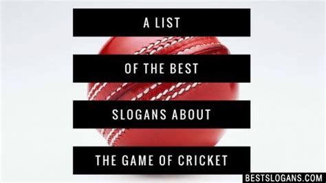 30 Motivational Cricket Slogans Sayings Mottos 2024 Inc Funny