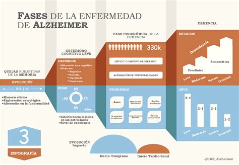 Quanto Tempo Dura As Fases Do Alzheimer