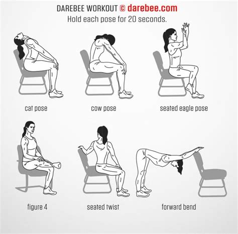 Lower Back Muscles Workout Top 5 Exercises For Lower Back At Gym And Home Youtube These